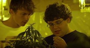 kid cannabis