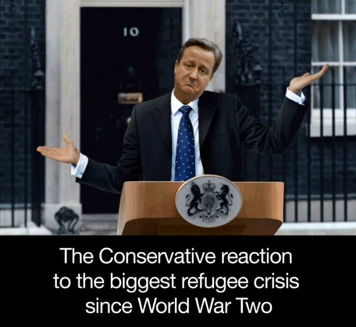 racist cameron
