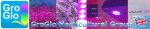 groglo banner