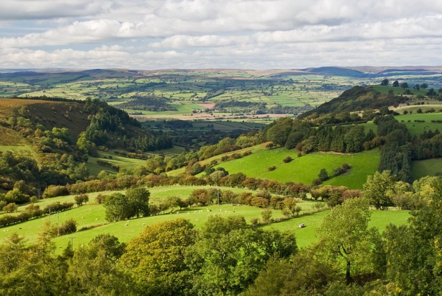 broad sunlit uplands