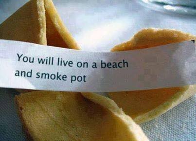 fortune cookie smoke pot