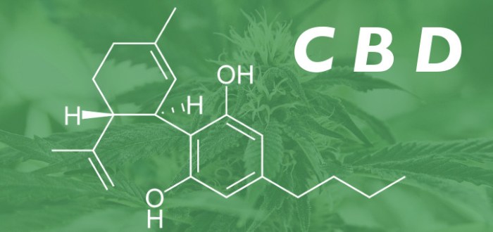 cbd-molecule-over-plant