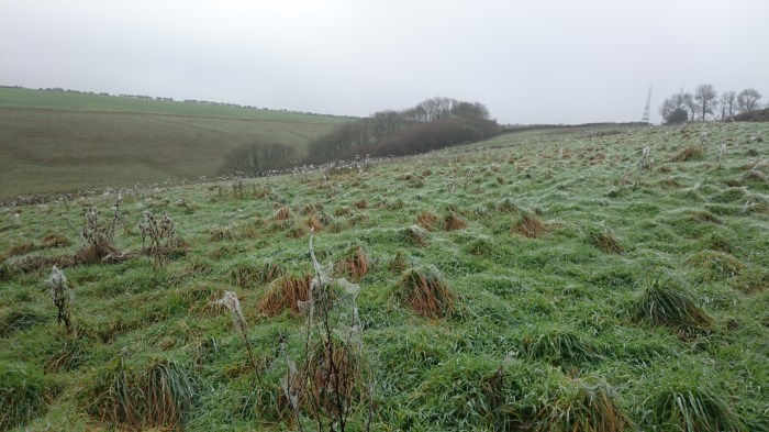 west-compton-cobwebs